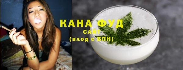 гашик Пестово