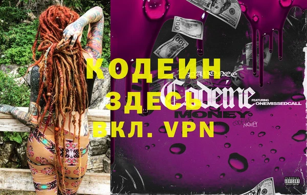 гашик Пестово