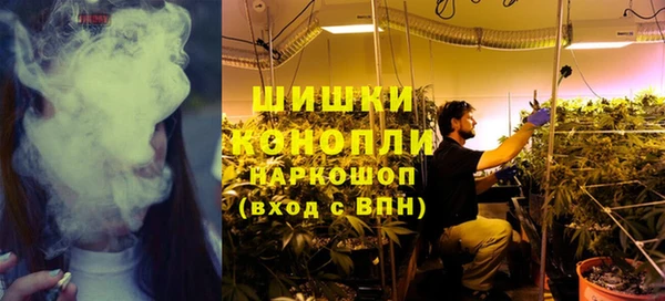 гашик Пестово