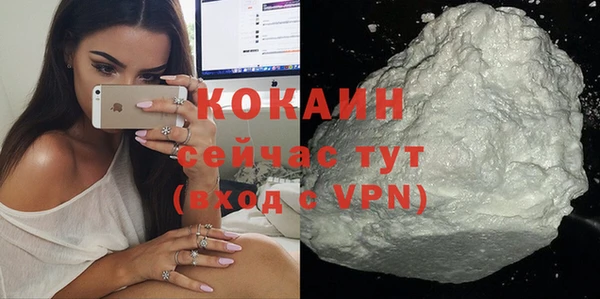 гашик Пестово