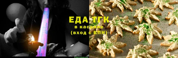 гашик Пестово