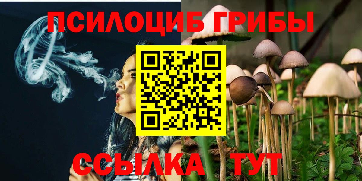 Галлюциногенные грибы GOLDEN TEACHER  Вход с VPN  Тара  Галлюциногенные грибы GOLDEN TEACHER 