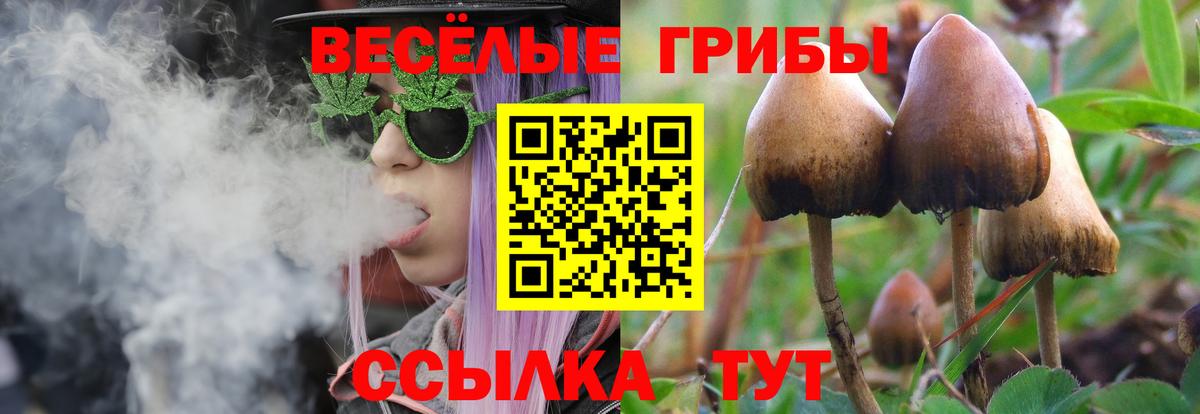 Псилоцибиновые грибы Psilocybine cubensis  Тара 